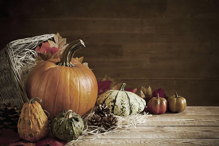 Still Life Photography Tutorial by iPhotography.com