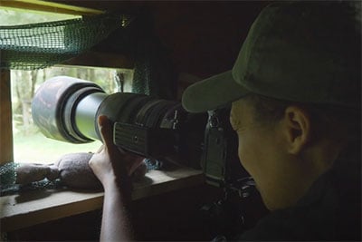 Bird Hide Photography Tips by iPhotography.com
