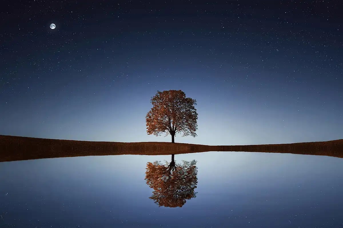 Night Water Reflection with a Lone Tree