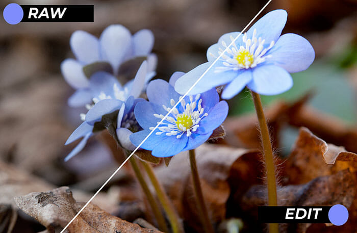 Nature Photography Tutorial by iPhotography.com