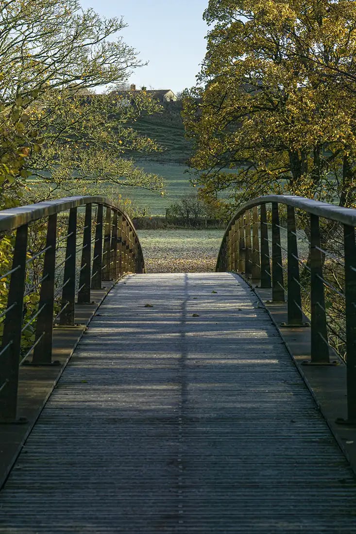 5 Ways to Make a Photo More Interesting 8