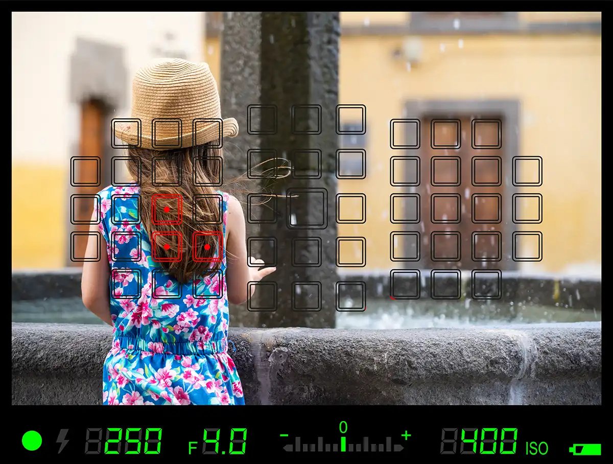 Live View Screen