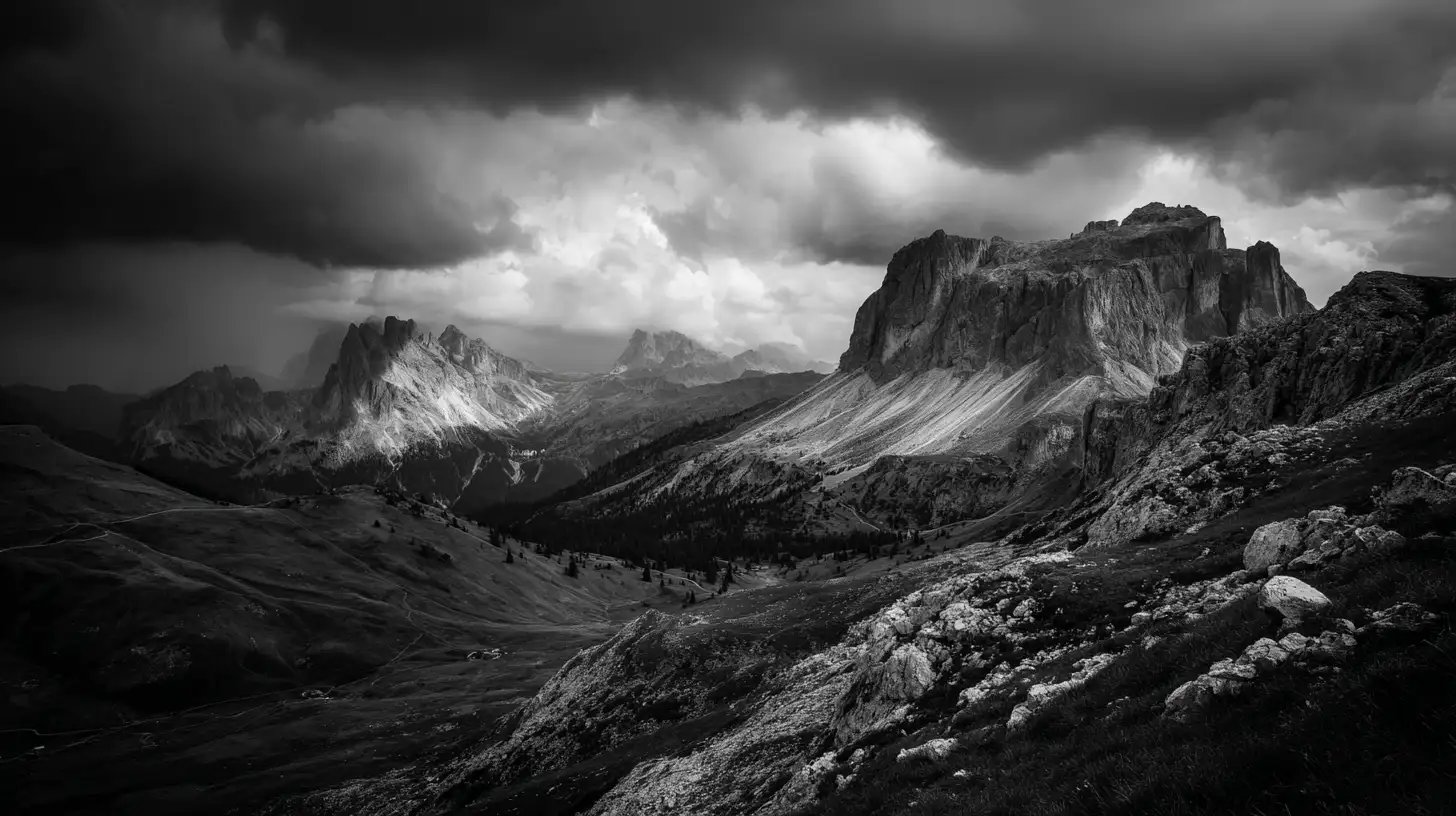 Black and white photography short course