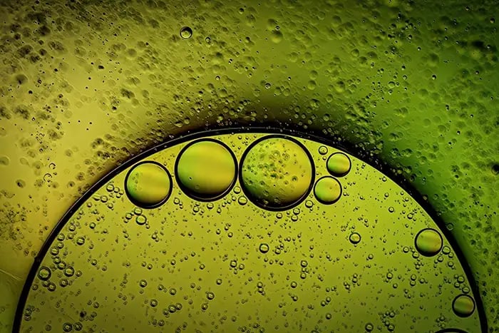 Macro photograph by iPhotography Member Barrie Yeend.