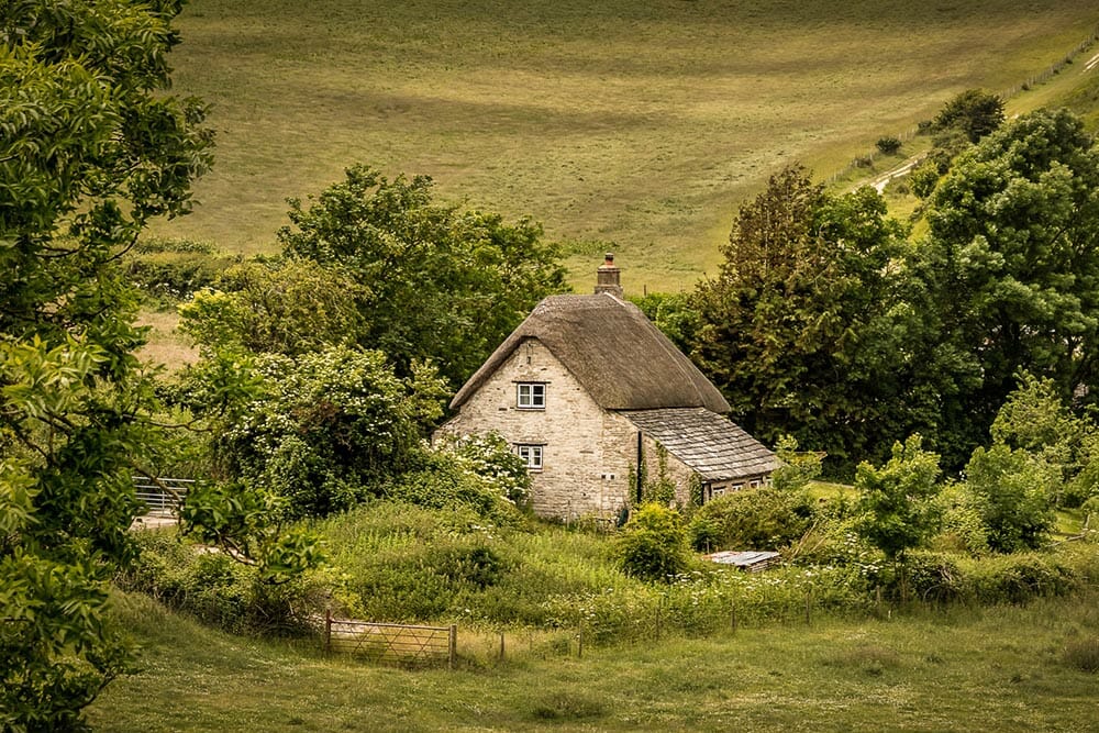 Image by Tony Lawrence (iPhotography Student)