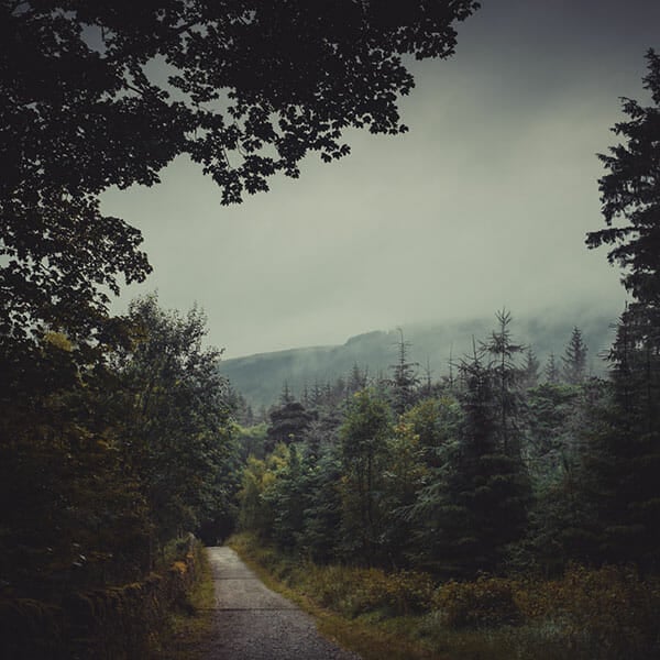 Woodland Photography Tips 8
