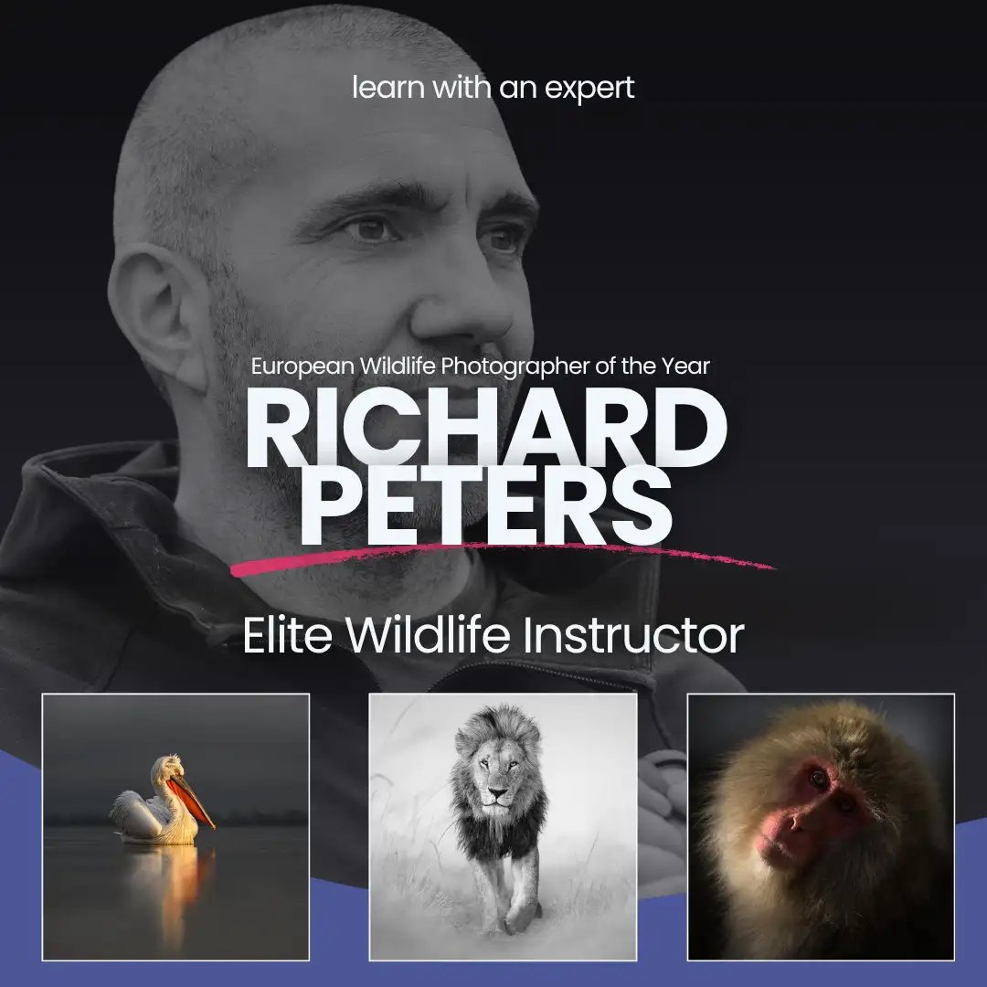 Richard Peters Photographer Instructor