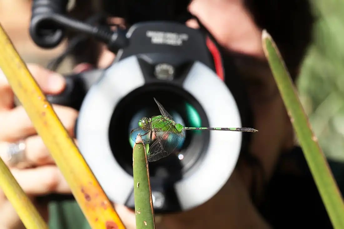 Glossary of Photography Lighting Terms by iPhotography.com
