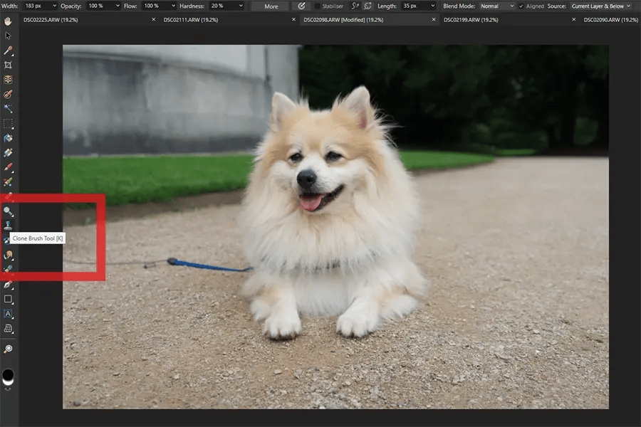 Clone Brush Tool Affinity Photo