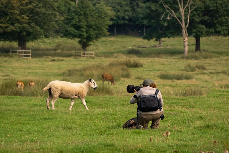 Rachel Sinclair, iPhotography Wildlife Photography Course Instructor.