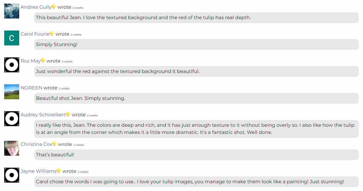 How to Use the iPhotography gallery by iPhotography.com