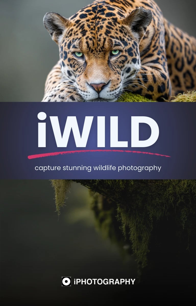 iWild &mdash; Wildlife Photography eBook by iPhotography