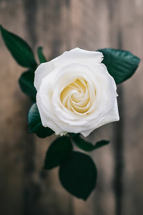 How to Give Photography Feedback - Tips by iPhotography.com