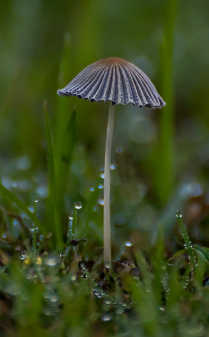 Image by Kevin Pamphlion (iPhotography Student)