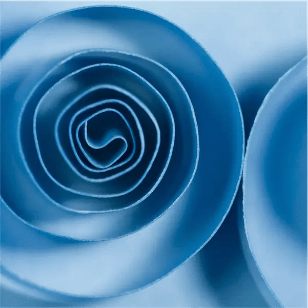 Abstract photograph
