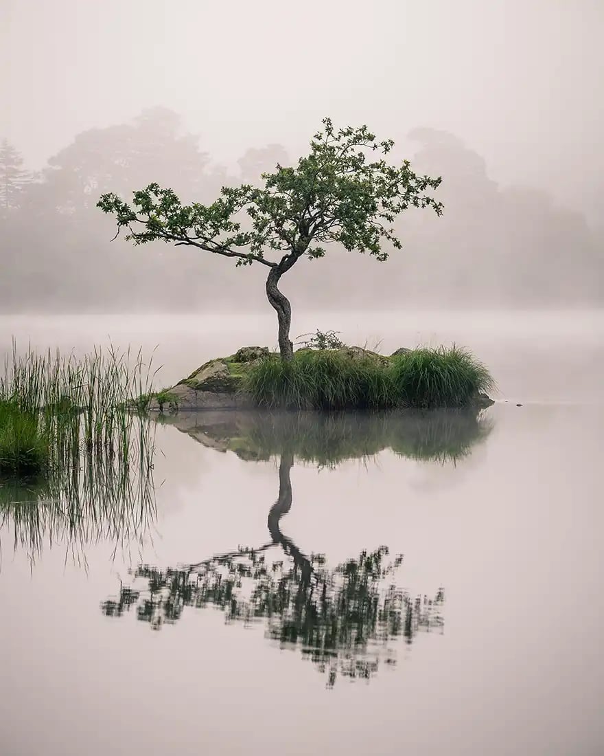 What is Storytelling in Photography by iPhotography.com