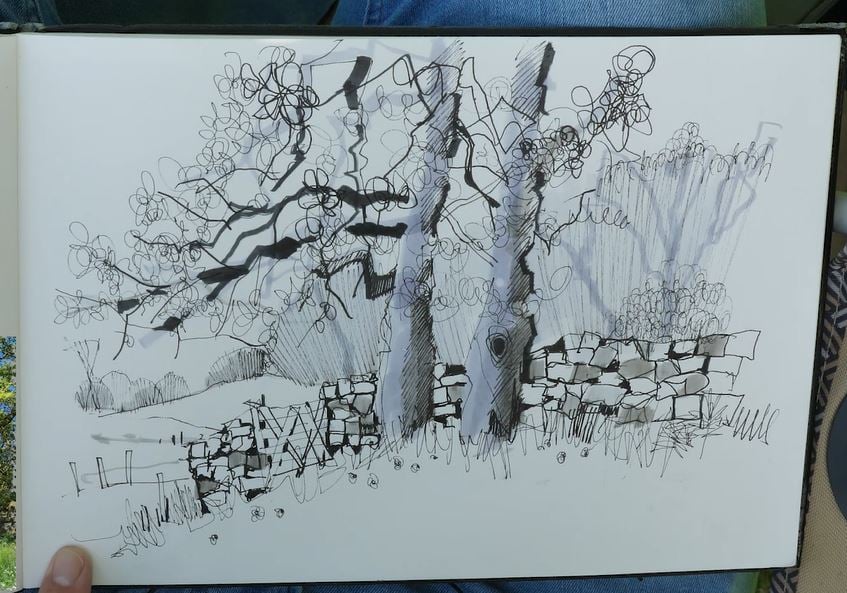 A detailed pen and ink landscape sketch on white paper showing an atmospheric rural scene with gnarled, wind-twisted trees in the foreground, their trunks rendered with bold black linework and intricate foliage indicated through organic scribbling. Stone walls and a scattered cottage or farm buildings anchor the middle ground, while the background features rolling hills rendered with directional hatching lines suggesting distance and mood. The sketch combines loose, expressive linework for vegetation with more controlled geometric shapes for architectural elements, creating dynamic visual contrast and a sense of windswept Welsh countryside.