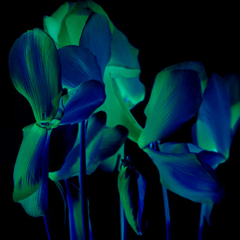 How to Improve your Colour Photography by Eric Butcher and iPhotography.com