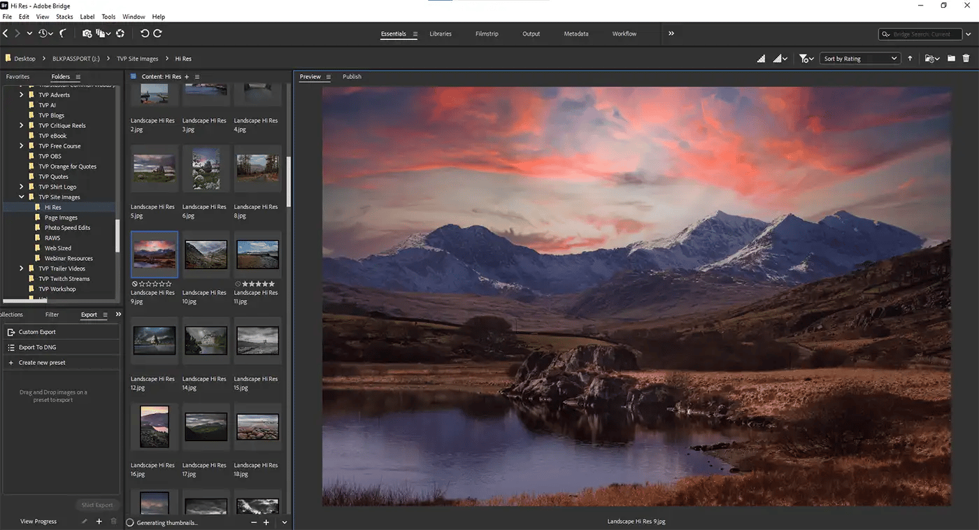 Adobe Bridge screen