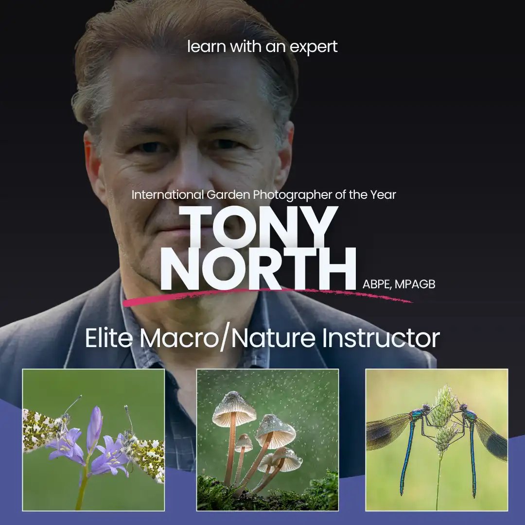Tony North Photographer Instructor