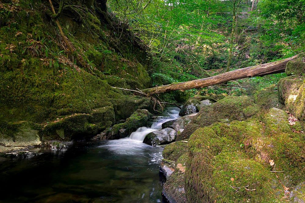 Waterfall