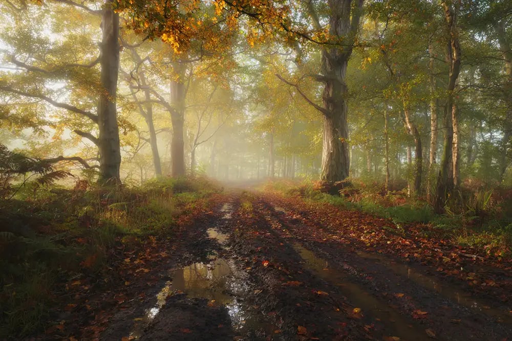 landscape-photography-05