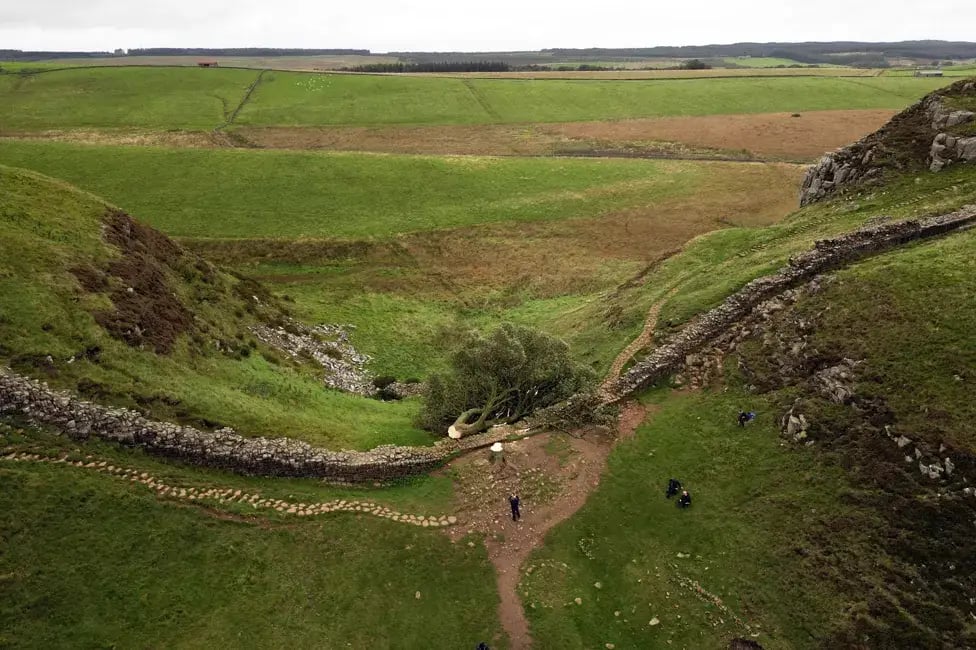 Site of the former Sycamore Gap tree (September 2023). Copyright PA Media