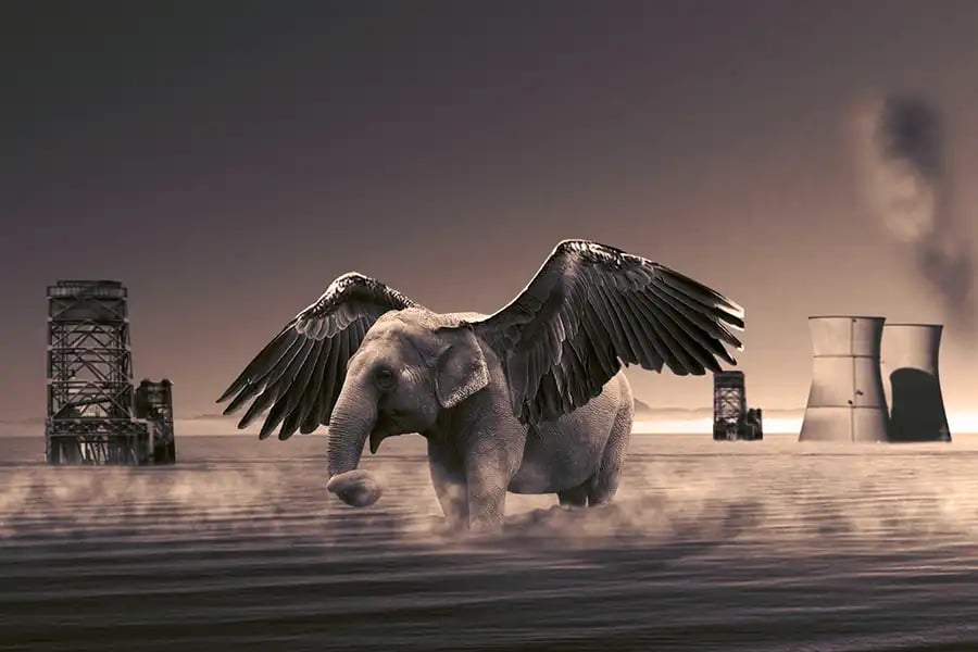 A surreal morphed-creature digital-art piece &mdash; elephant with wings &mdash; created in Photoshop.