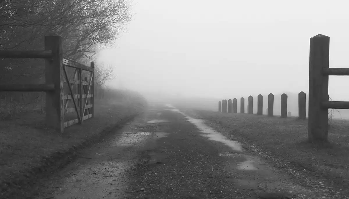 Mist Fog
