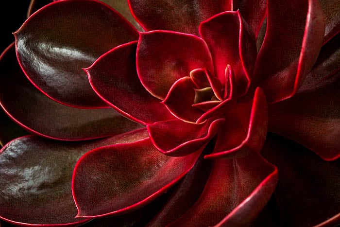 nature photography tips by iphotography.com