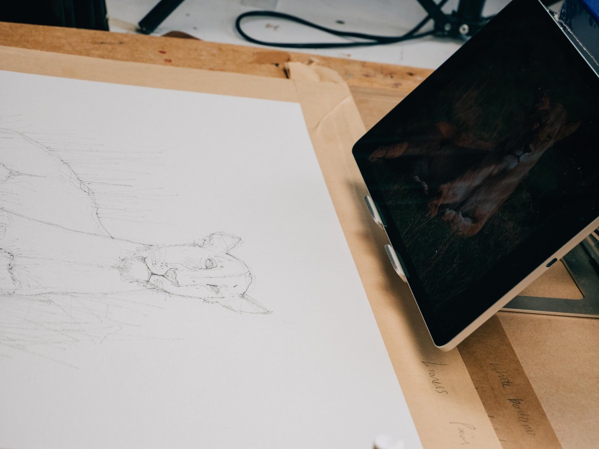 Overhead view of a pencil sketch on a wooden desk, with a tablet showing the reference photograph beside it.