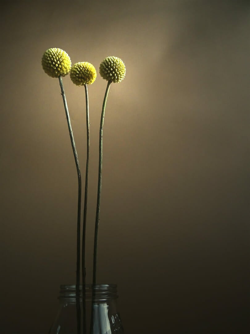 Image by Christina Noordberger (iPhotography Student)