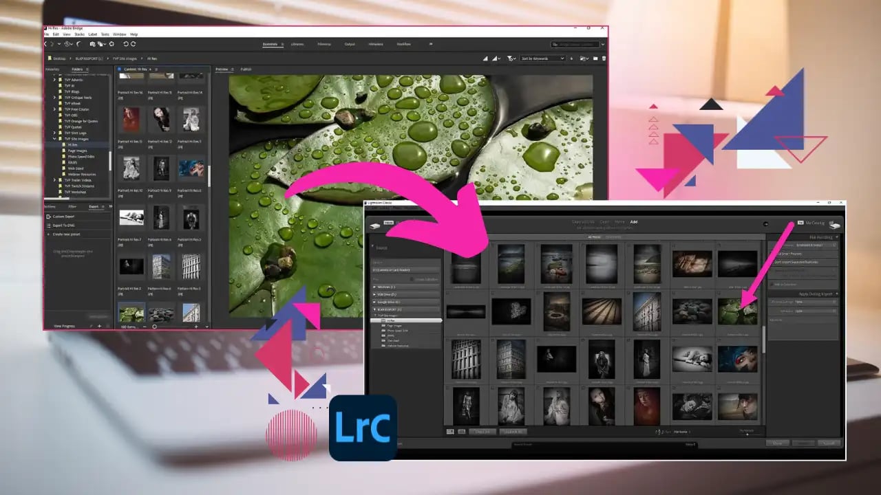 Adobe Lightroom and Adobe Bridge compatibility example