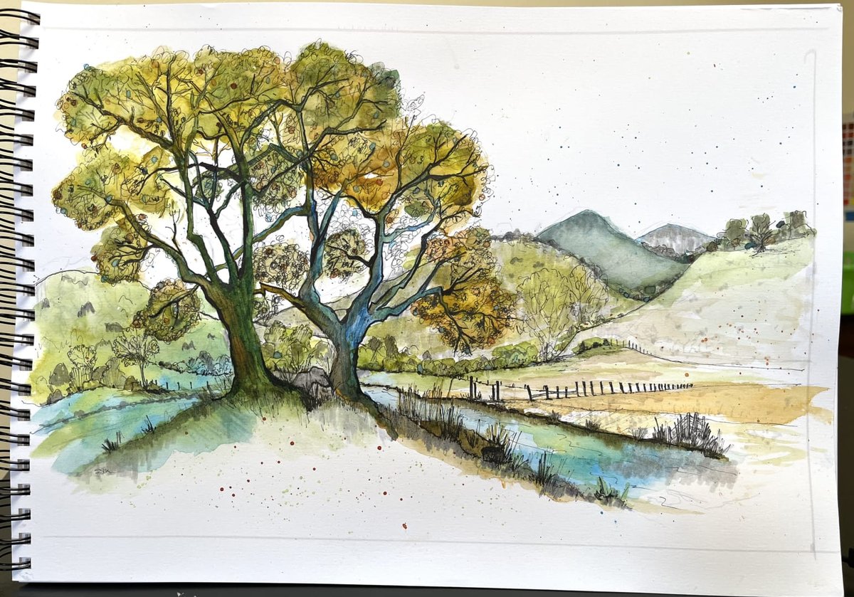 A detailed watercolor and ink sketch of a rural landscape featuring a gnarled, ancient tree with golden-yellow foliage dominating the composition. A meandering stream with turquoise-blue water flows in the foreground, flanked by tall grasses and vegetation. Rolling hills with green and mustard-toned slopes form the background, with distant mountains and scattered smaller trees. A wooden fence line stretches across the middle distance. The piece combines fine pen linework for detailed tree structure with loose watercolor washes in warm and cool tones, capturing a naturalistic countryside scene.