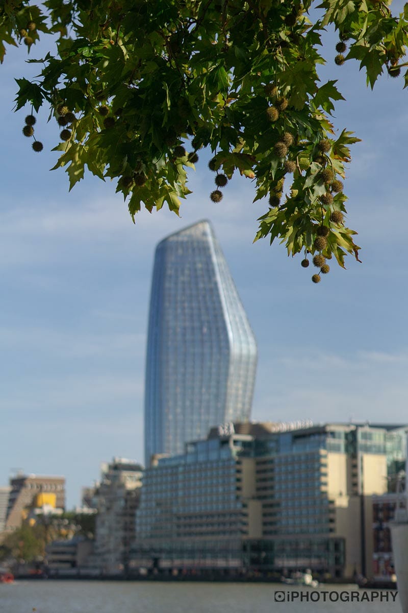 Image: Shallow/Narrow/Small Depth of Field (DoF)
