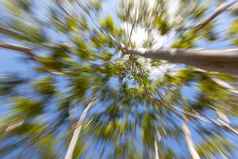 Zoom Burst Example #4