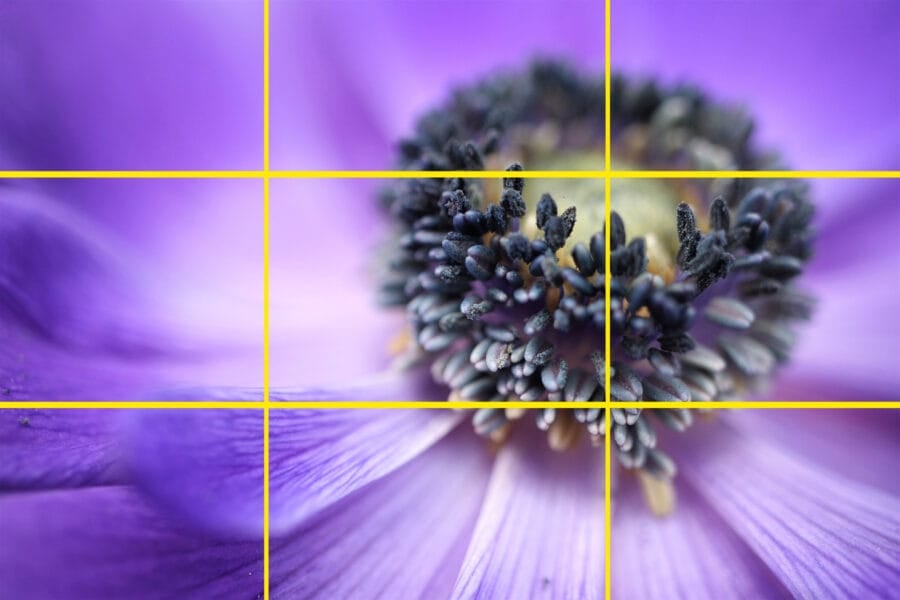 How to Compose a Photography - Introduction to Photography Course Online