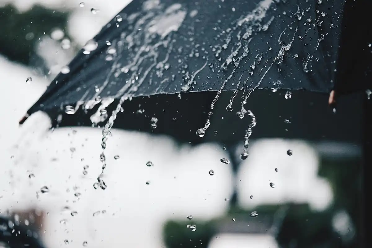 umbrella rain drops
