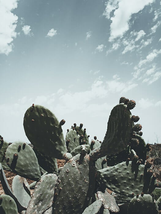6 Amazing Photography Gadgets by iPhotography.com