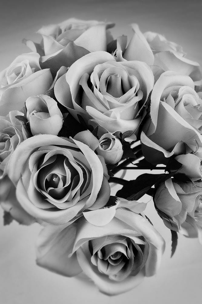 Flower Photography iPhotography (25)