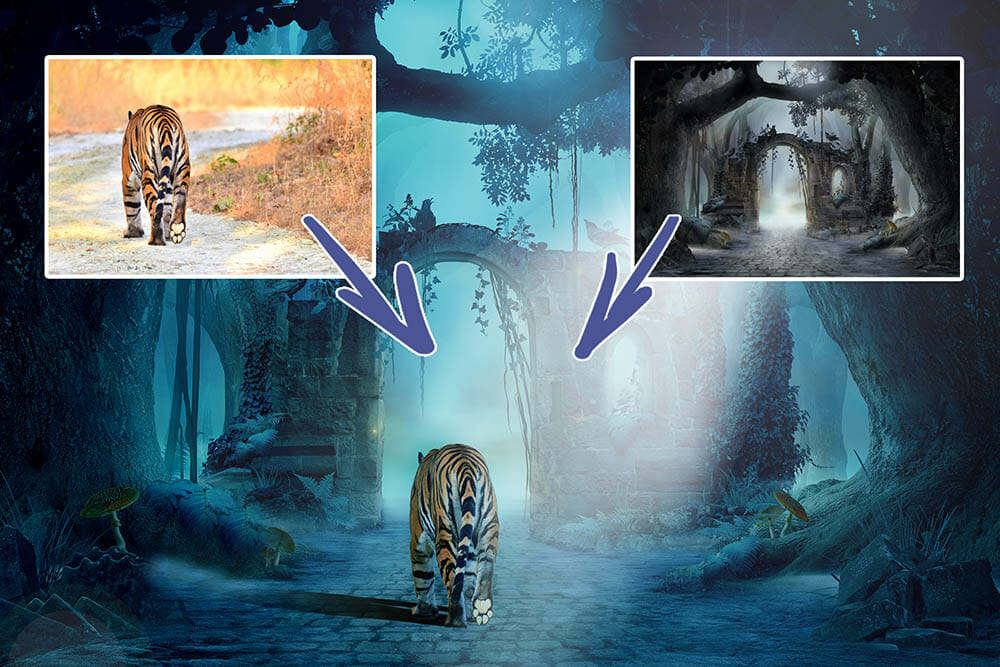 A Photoshop composite showing two photographs merged into a single scene.