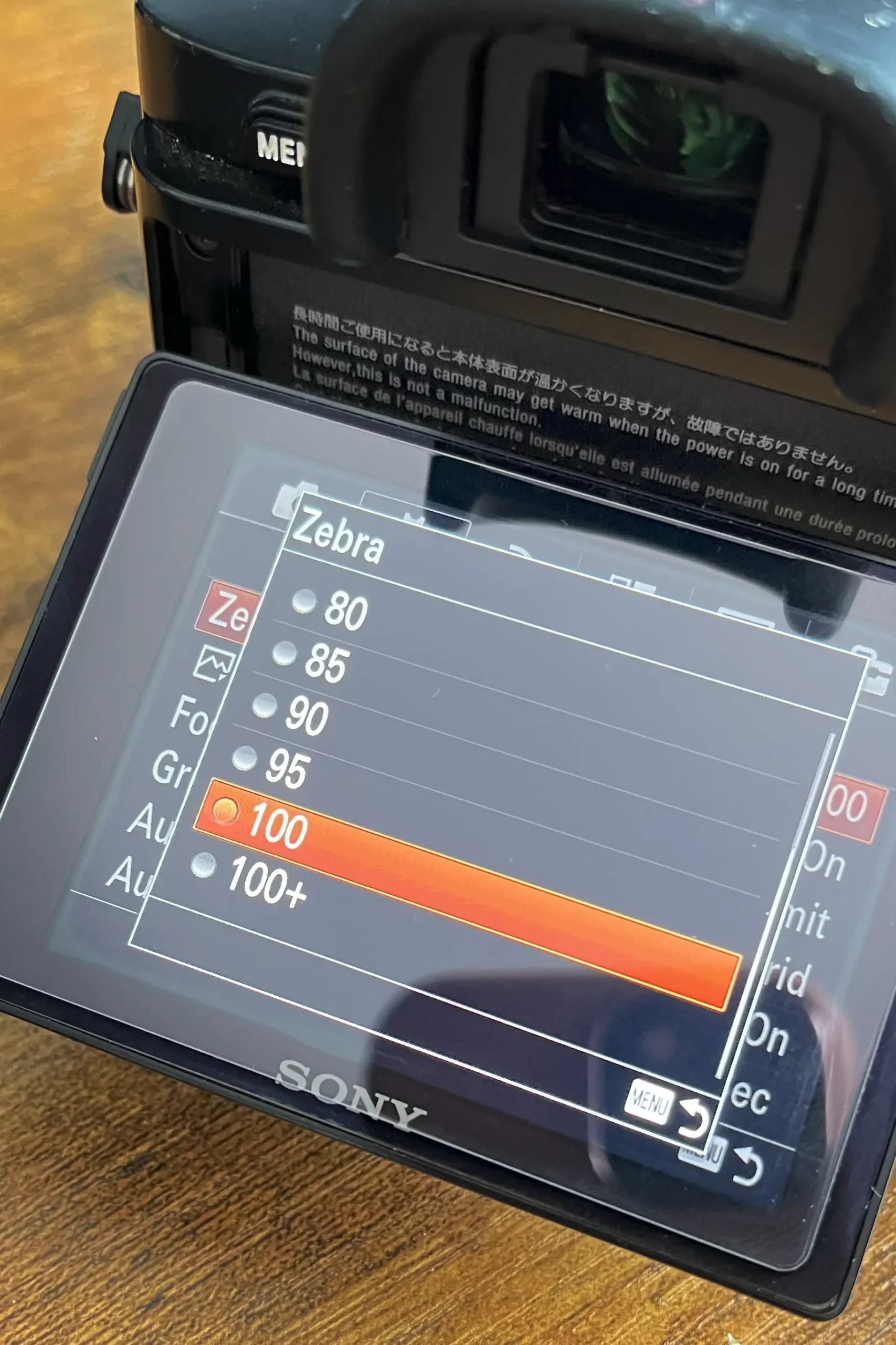 Sony Zebras Screen