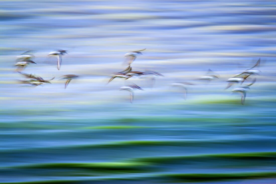 Fine Art Photography Tutorial