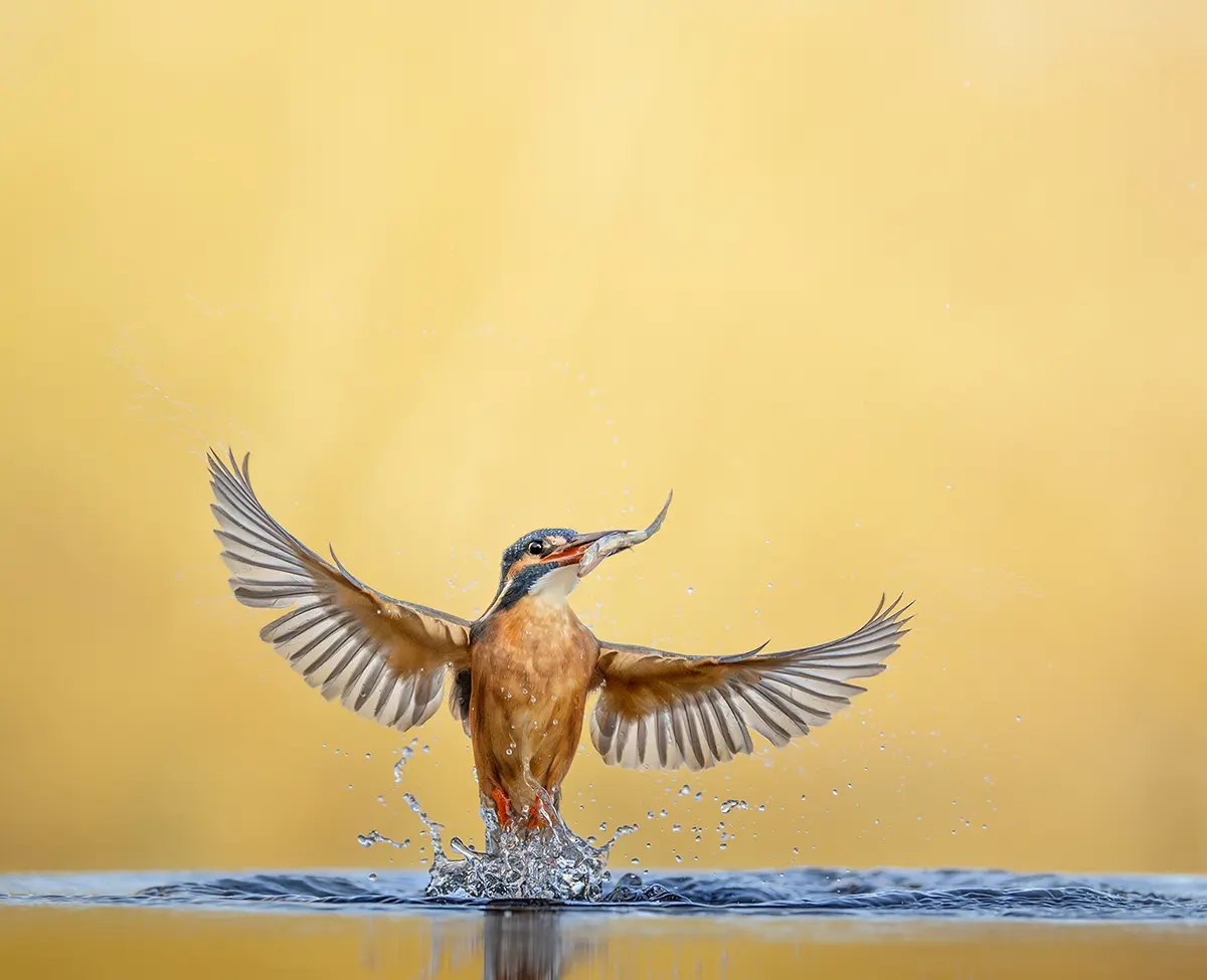Photograph by iPhotography PLUS+ member David Allerton.