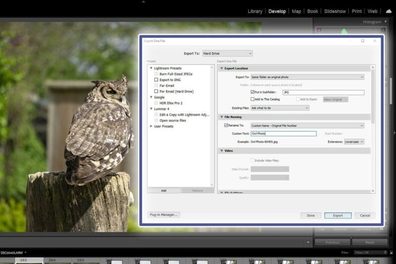 Lightroom's export dialog showing finished-file output settings.