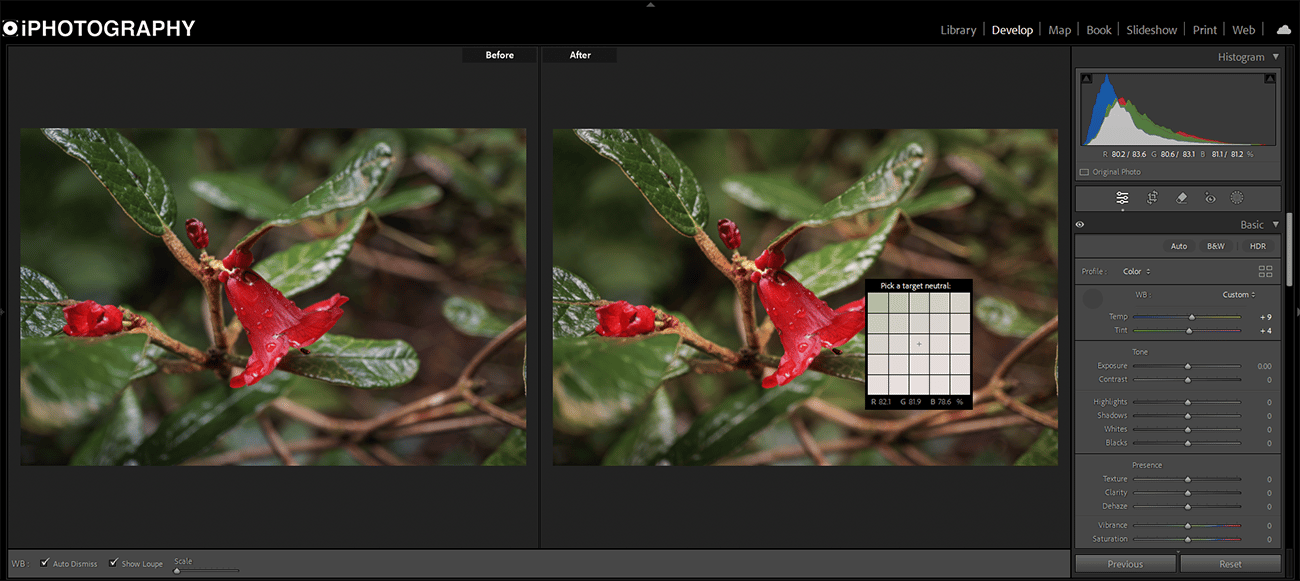 Before and After White Balance Selector