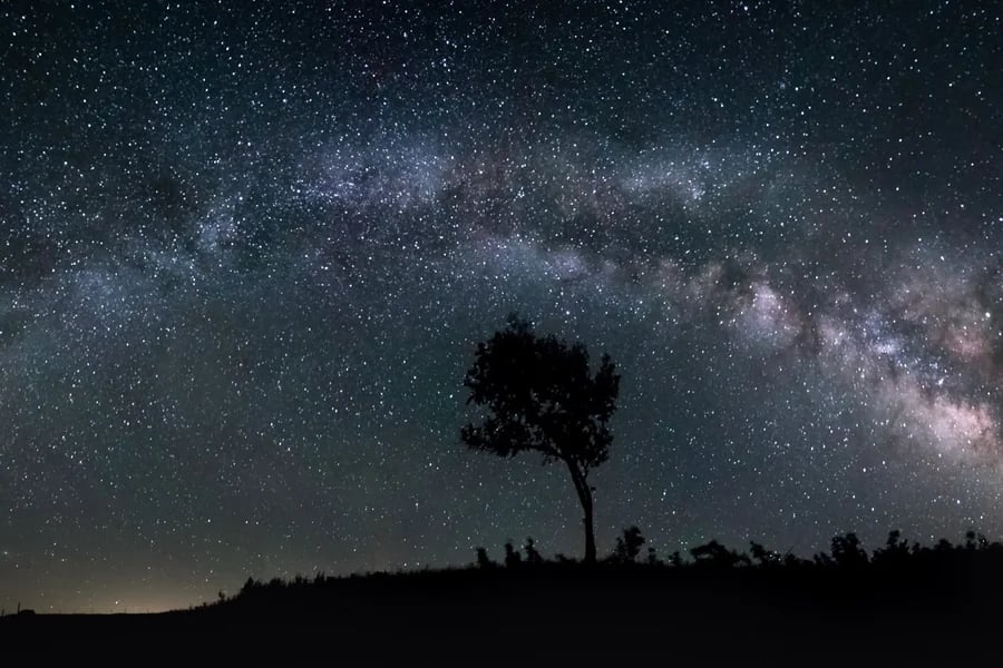 Panoramic Milky Way photograph with a lone tree in silhouette by iPhotography Member Randy Wayman.