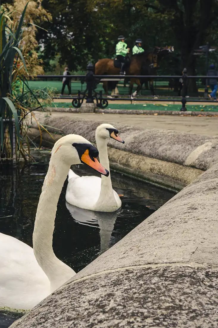 5 Ways to Make a Photo More Interesting 7