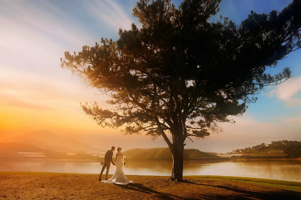 a wedding couple under a large tree at sunset