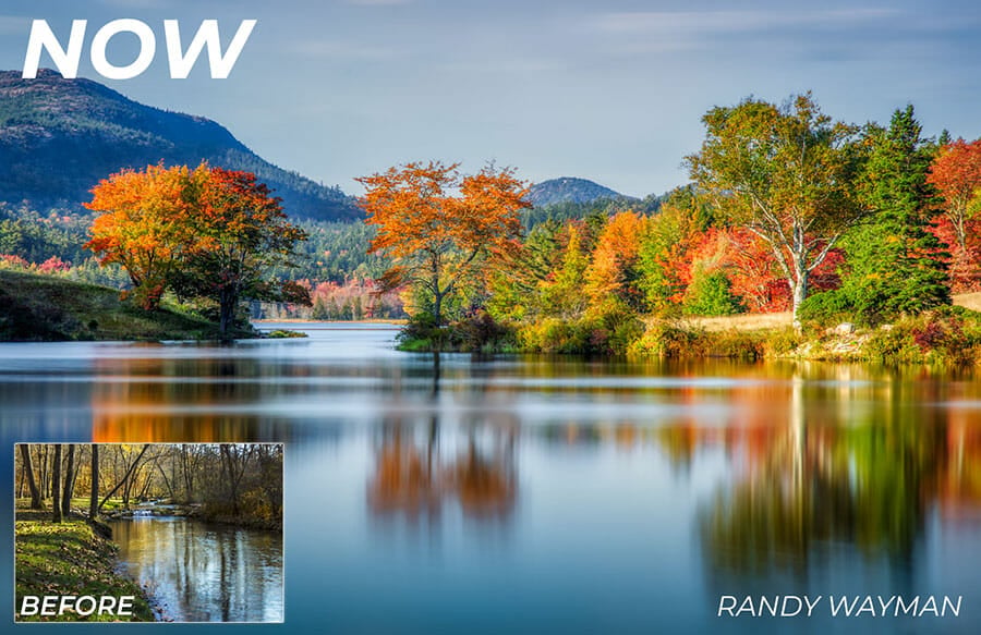 Randy Wayman